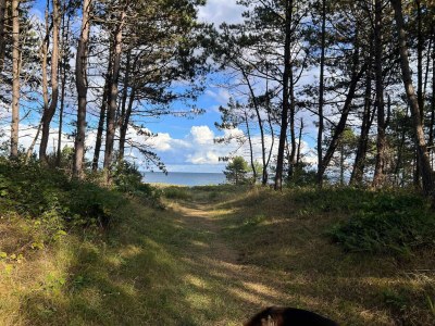 Holiday house 4 Personen Ferienhaus in Ebeltoft-By Traum - Outdoor photo 5