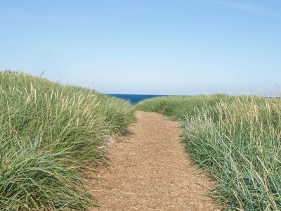 Holiday house 12 person holiday home in Harboøre-By Traum - Outdoor photo 19