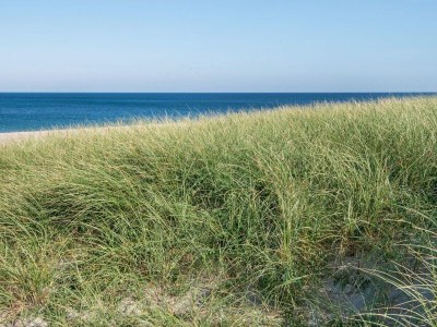 Holiday house 12 person holiday home in Harboøre-By Traum - Outdoor photo 21