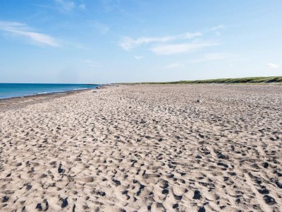 Holiday house 12 person holiday home in Harboøre-By Traum - Outdoor photo 34