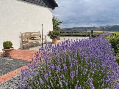 Holiday house Eifelblick Daleiden - Outdoor photo 4
