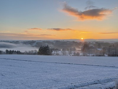 Holiday house Eifelblick Daleiden - Outdoor photo 11