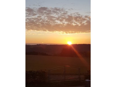 Holiday house Eifelblick Daleiden - Environment photo 23