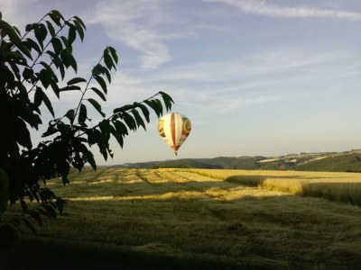 Holiday house Eifelblick Daleiden - Environment photo 25