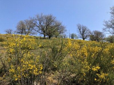 Holiday house Eifelblick Daleiden - Environment photo 27
