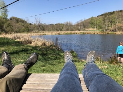 Holiday house Eifelblick Daleiden - Environment photo 29