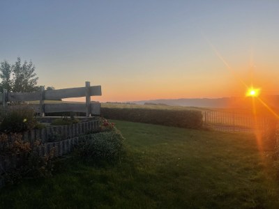 Holiday house Eifelblick Daleiden - Environment photo 30