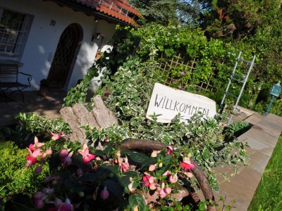 Holiday apartment Talblick - Outdoor photo 2