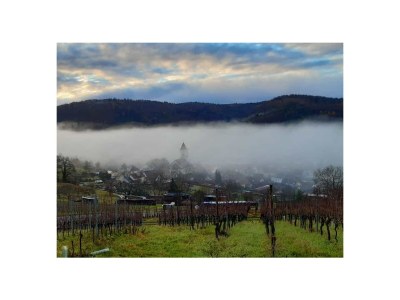 Holiday apartment Talblick - Environment photo 16