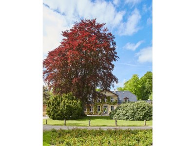 Holiday apartment Manor house holiday apartment - Outdoor photo 3