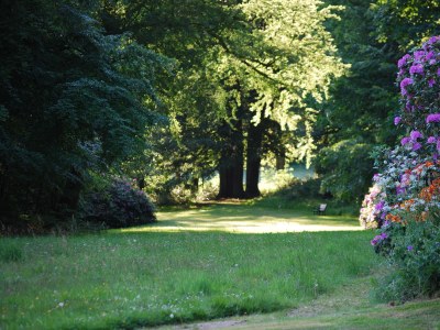 Holiday apartment Manor house holiday apartment - Outdoor photo 6