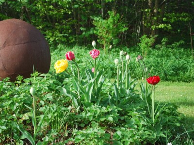 Holiday apartment Manor house holiday apartment - Environment photo 16