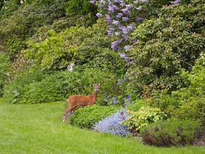 Holiday apartment Manor house holiday apartment - Environment photo 20