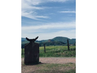 Apartment Ferienhaus, Bad, WC, 1 Schlafraum - Outdoor photo 10