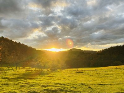 Apartment Ferienhaus, Bad, WC, 1 Schlafraum - Outdoor photo 12
