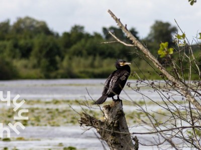 Holiday house Kalenberg - OV598 - Environment photo 39