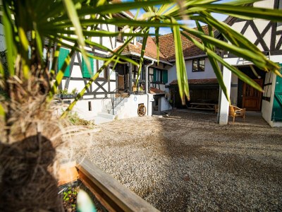 Holiday house Le Vieux Pressoir - Gîtes authentiques en Alsace pour 2 à 15 personnes in Dieffenthal - Holiday house