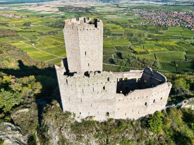 Holiday house Le Vieux Pressoir - Gîtes authentiques en Alsace pour 2 à 15 personnes - Environment photo 7