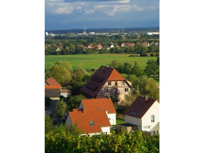 Holiday house Le Vieux Pressoir - Gîtes authentiques en Alsace pour 2 à 15 personnes - Environment photo 8