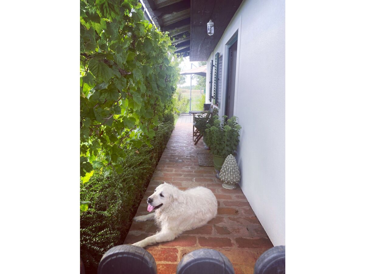 Holiday house Peace and Sun - Outdoor photo 5