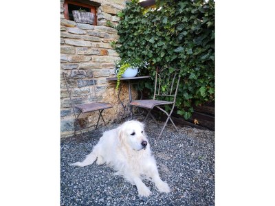 Holiday house Peace and Sun - Outdoor photo 2