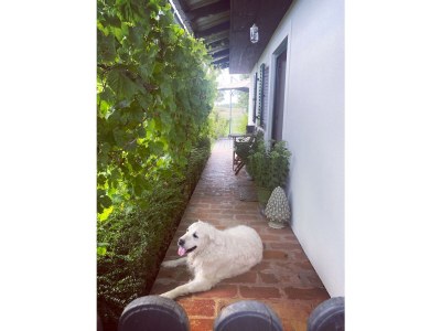 Holiday house Peace and Sun - Outdoor photo 5