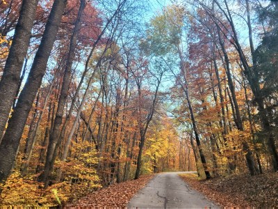 Holiday house Peace and Sun - Outdoor photo 9