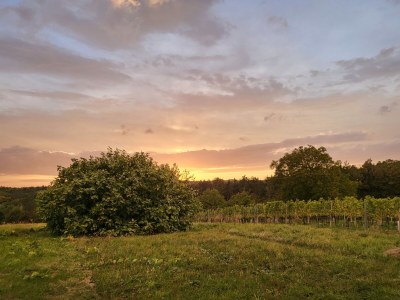 Holiday house Peace and Sun - Outdoor photo 10
