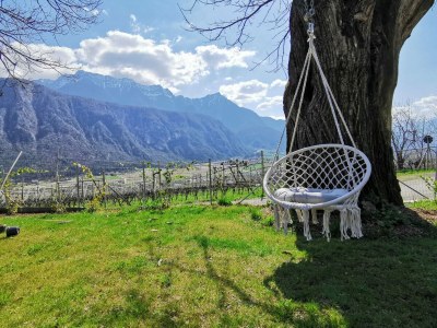 Holiday house Trojer - Outdoor photo 11