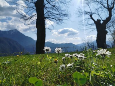 Holiday house Trojer - Outdoor photo 12