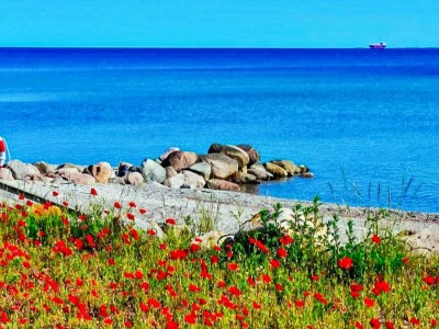 Holiday house 6 Personen Ferienhaus in Otterup-By Traum - Outdoor photo 10
