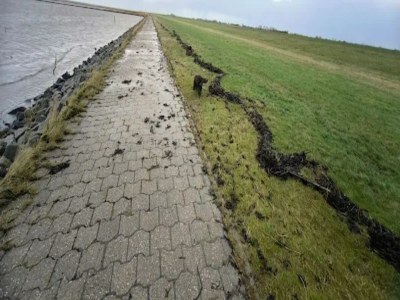 Holiday house Doppelhaushälfte in Dornumersiel - Environment photo 22