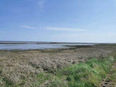 Holiday house Doppelhaushälfte in Dornumersiel - Environment photo 24