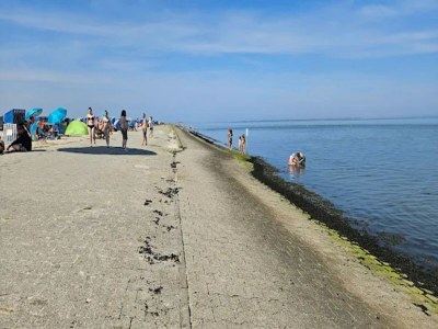 Holiday house Doppelhaushälfte in Dornumersiel - Environment photo 37