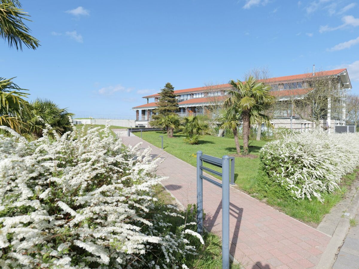 Holiday apartment Wild Seagull No. 29 - Aurora Vista - ABC529 - Outdoor photo 4