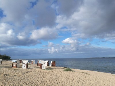 Holiday apartment Wild Seagull No. 29 - Aurora Vista - ABC529 - Outdoor photo 3