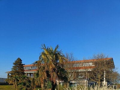 Holiday apartment Wild Seagull No. 29 - Aurora Vista - ABC529 - Features photo 26