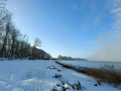 Holiday apartment Wild Seagull No. 29 - Aurora Vista - ABC529 - Environment photo 33