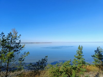 Holiday apartment Wild Seagull No. 29 - Aurora Vista - ABC529 - Environment photo 34