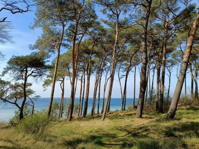 Holiday apartment Wild Seagull No. 29 - Aurora Vista - ABC529 - Environment photo 37