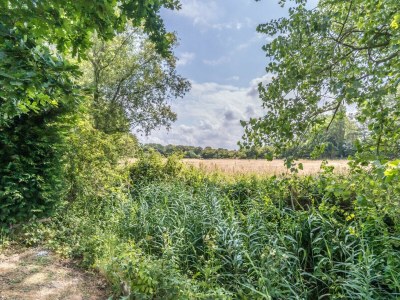 Holiday house Duinoord 3 - De Wilgen - Outdoor photo 4