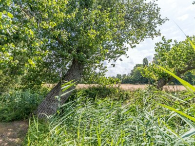 Holiday house Duinoord 3 - De Wilgen - Outdoor photo 7