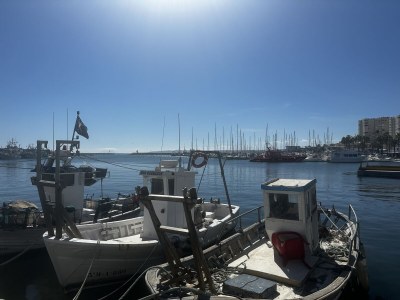 Holiday apartment Brisa Marina Estepona - Environment photo 26