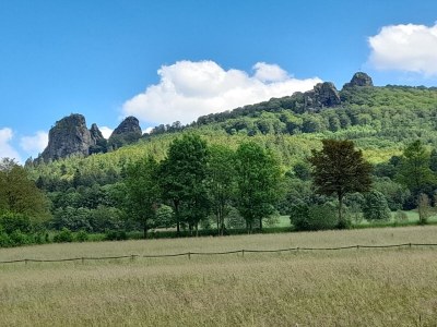 Apartment Apartment nähe Willingen und Winterberg - Environment photo 22
