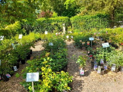 Apartment Apartment nähe Willingen und Winterberg - Environment photo 23