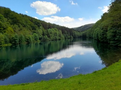 Apartment Apartment nähe Willingen und Winterberg - Environment photo 24