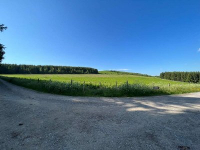 Apartment Apartment nähe Willingen und Winterberg - Environment photo 36