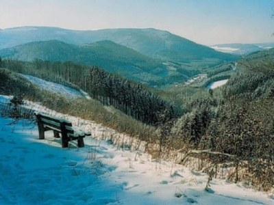 Apartment Apartment nähe Willingen und Winterberg - Environment photo 38