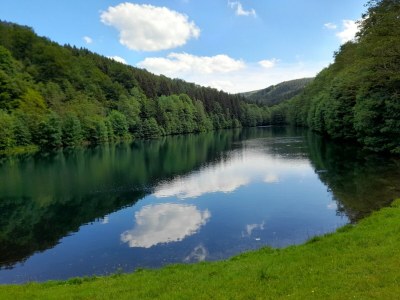 Apartment Apartment nähe Willingen und Winterberg - Environment photo 44