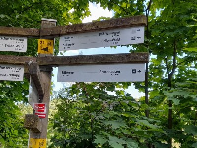 Apartment Apartment nähe Willingen und Winterberg - Environment photo 45